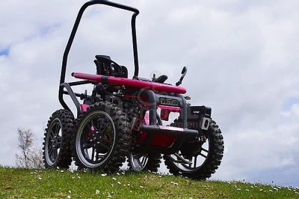 1200_184785a5743a8554276f04a364e9d3ff